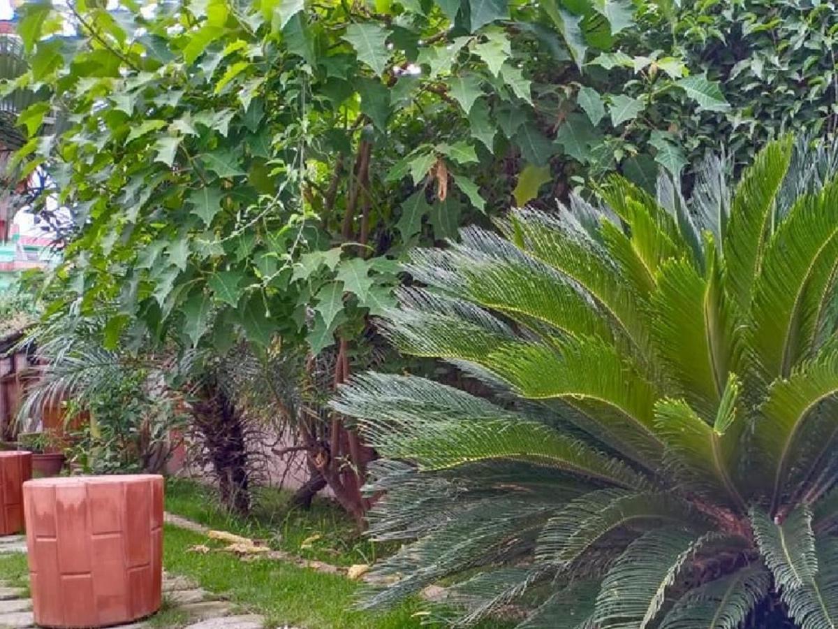 Chef House Resort Katmandu Dış mekan fotoğraf