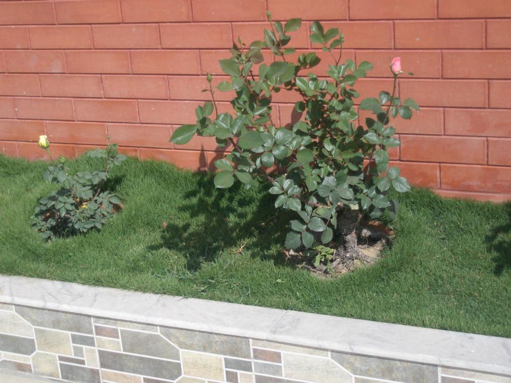 Chef House Resort Katmandu Dış mekan fotoğraf